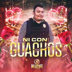Ni con guachos