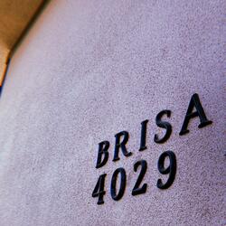 BRISA4029