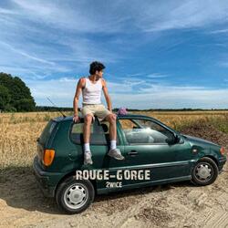 Rouge-gorge