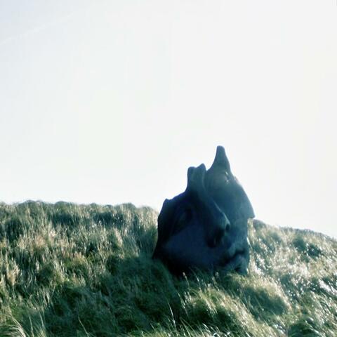 Disintegration