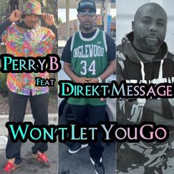 Won't Let You Go (feat. Direkt Message)