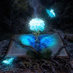 The Spark