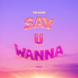 Say U Wanna