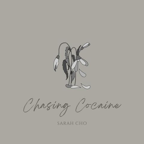 Chasing Cocaine