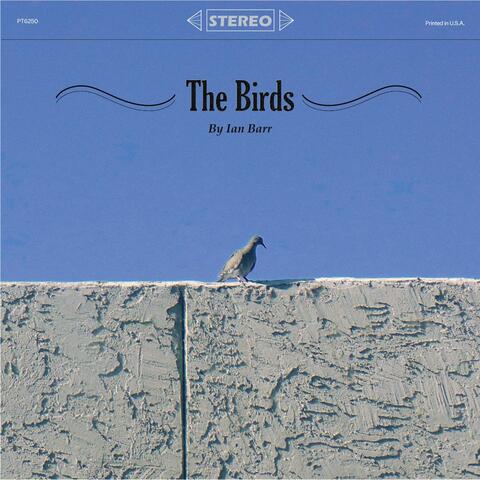 The Birds