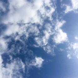 Too much is not enough