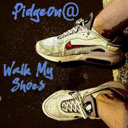 Walk My Shoes