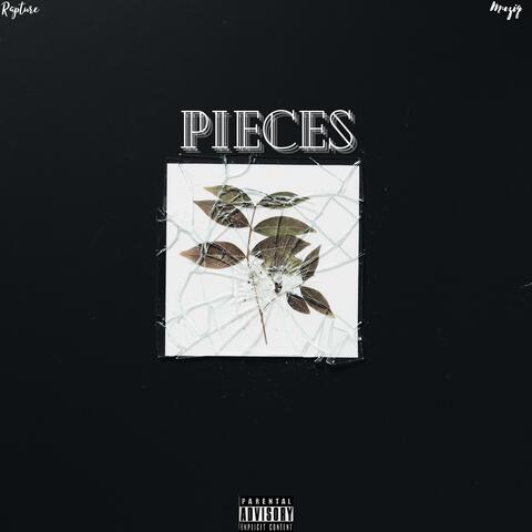 Pieces