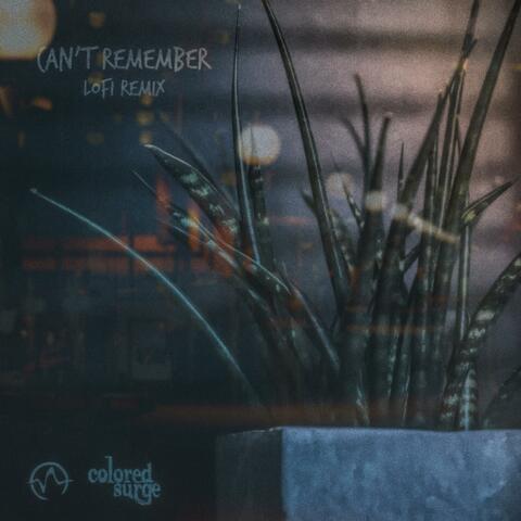 Can't Remember (Lofi Remix)