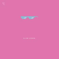 SLOW. DOWN.