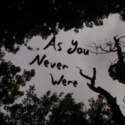As You Never Were (feat. Ollie Smith & Seamus McBoverille)