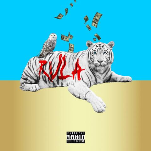 2 Much Rich