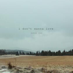i don't wanna love