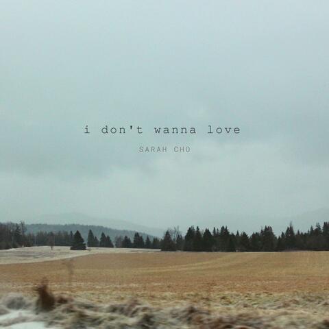 i don't wanna love