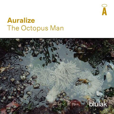 Auralize : The Octopus Man