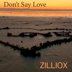 Don't Say Love
