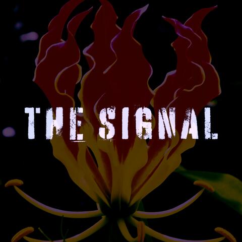 The Signal