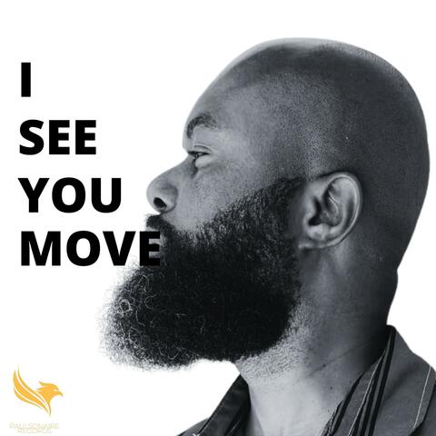 I See You Move