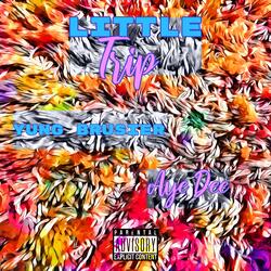 Little Trip (feat. Yung Bruiser)