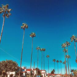 Street Lights