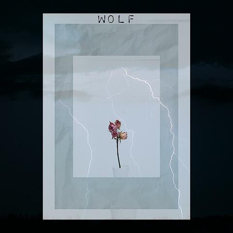 Real Pain (Weathered The Storm)