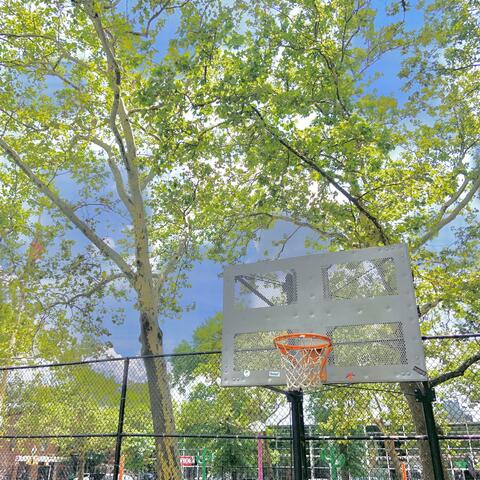 In The Park