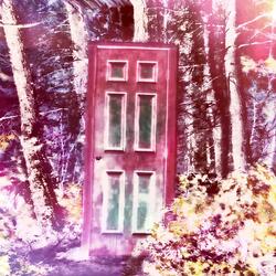 Backdoor