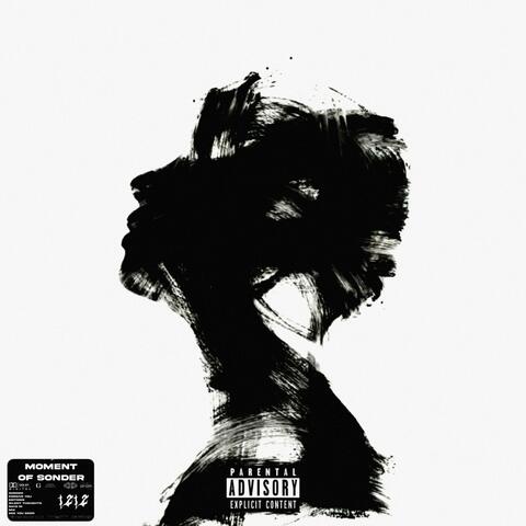 Moment Of Sonder