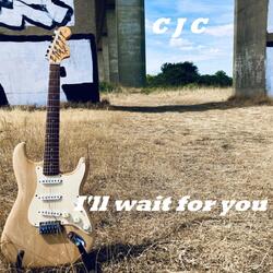 I'll Wait For You