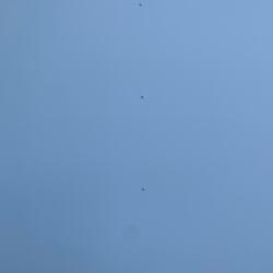 Sky Night Dreamt