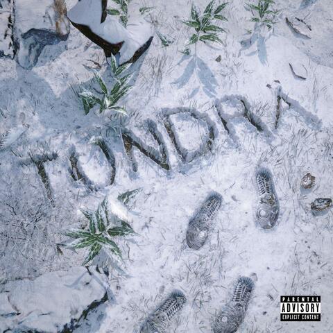 TUNDRA