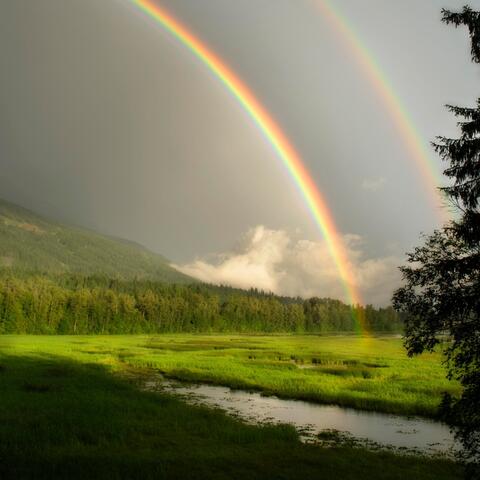 rainbow's end