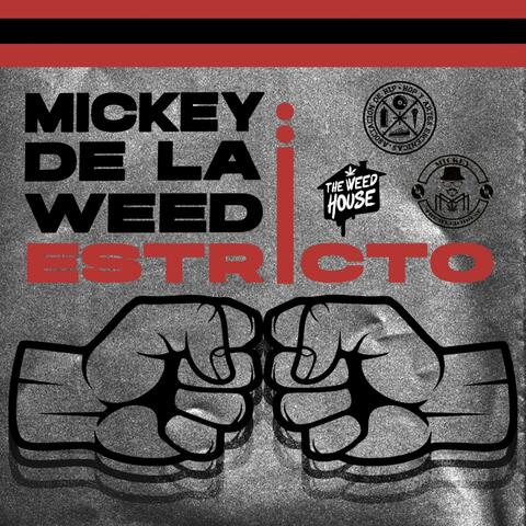 Estricto (feat. Dj Ropo & Nef Talib)