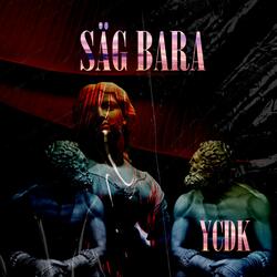 Säg bara