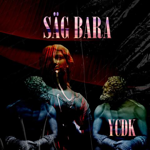 Säg bara