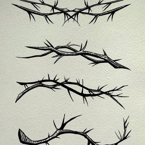 THORNS