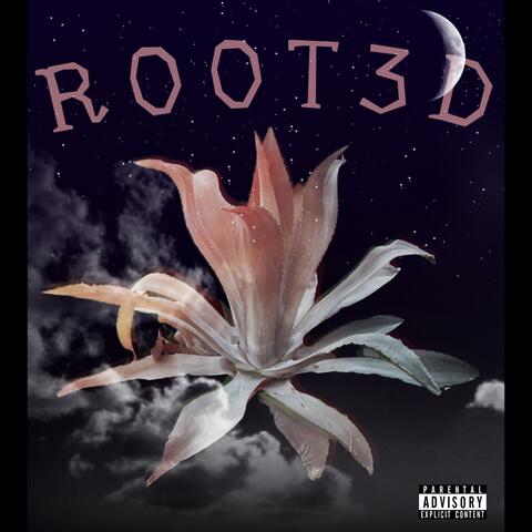 ROOT3D