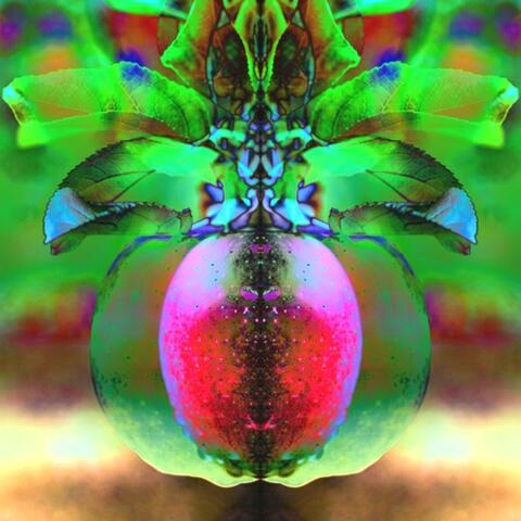 Morange (feat. DeangeloVickers)