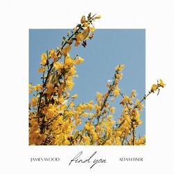 Find You (feat. Adam Fiser)