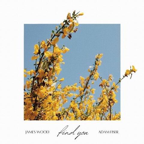 Find You (feat. Adam Fiser)