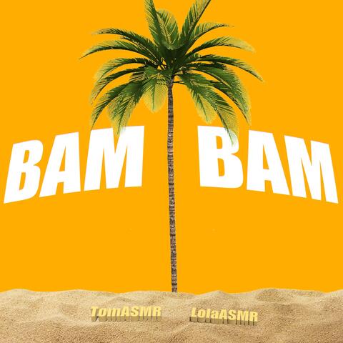 Bam Bam (feat. LolaASMR)