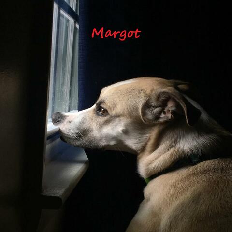 Margot