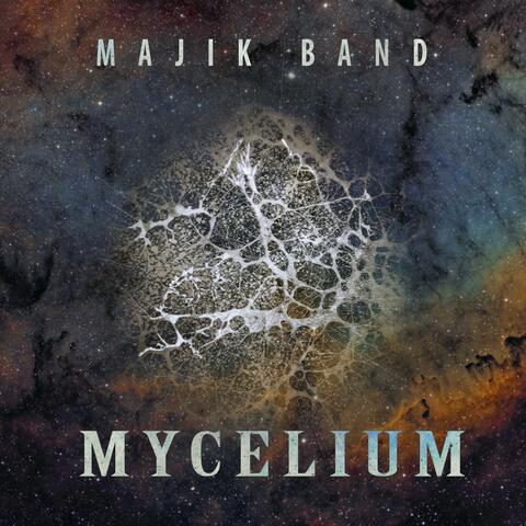 Mycelium