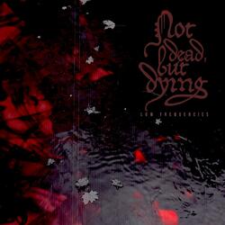 low frequencies