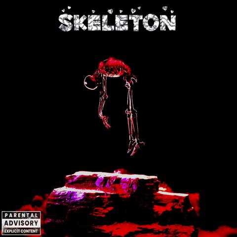 Skeleton