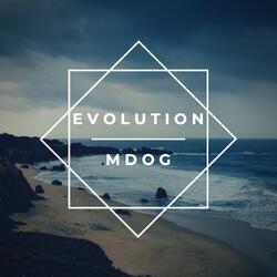 Evolution