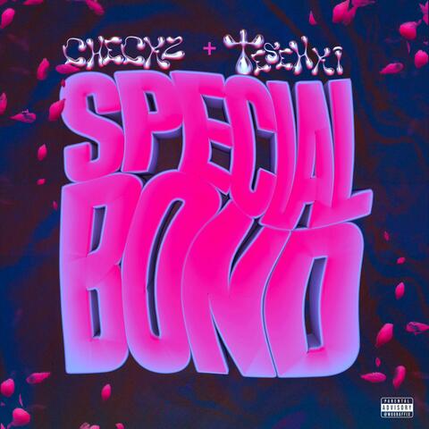 Special Bond (feat. Checkzone)