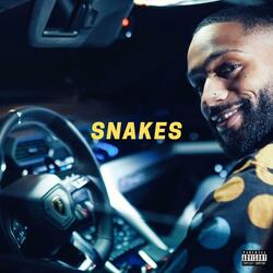 Snakes
