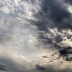 Kobe In LA (praylude)