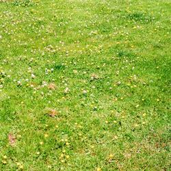 we had a good run (feat. Devynn Blythe)